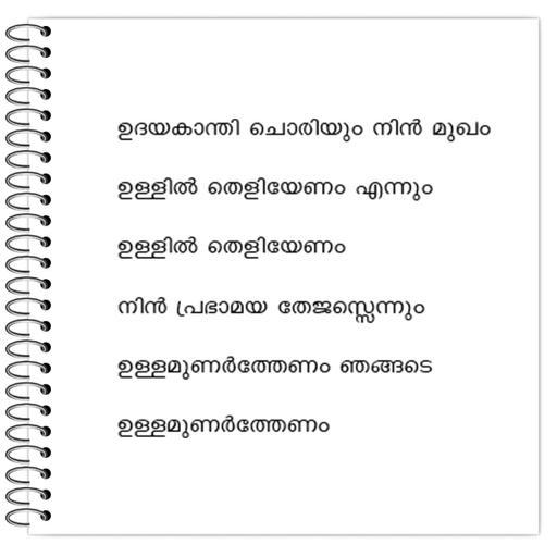 Picture of the product