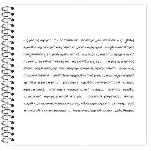 Picture of the product