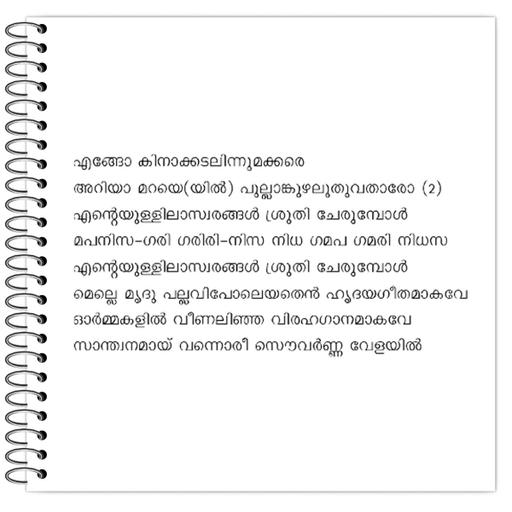 Picture of the product