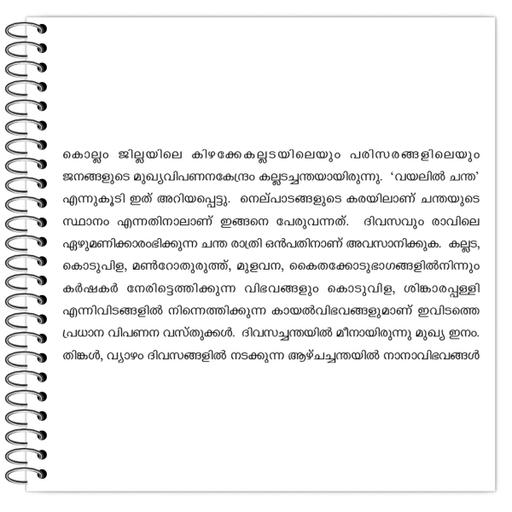 Picture of the product