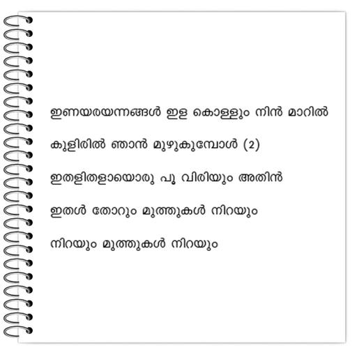 Picture of the product