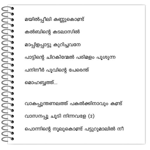 Picture of the product