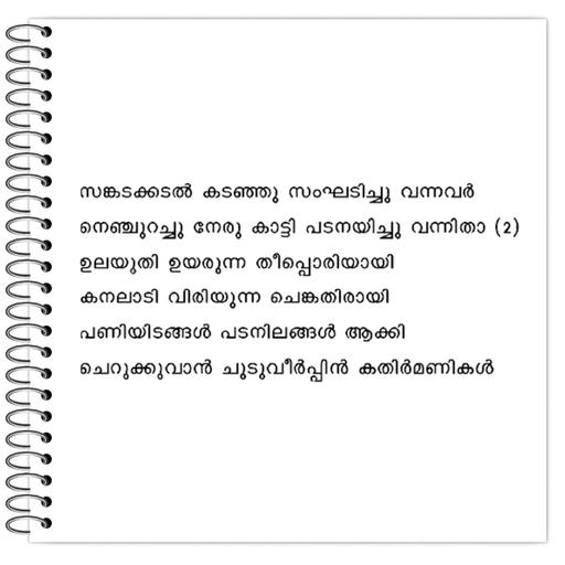 Picture of the product