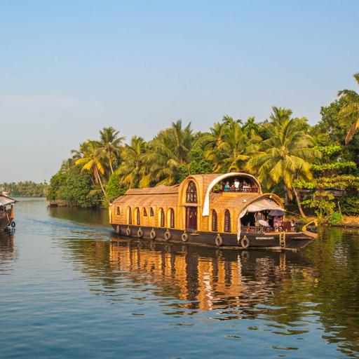 Picture of the product