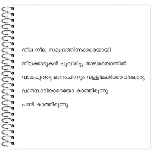 Picture of the product