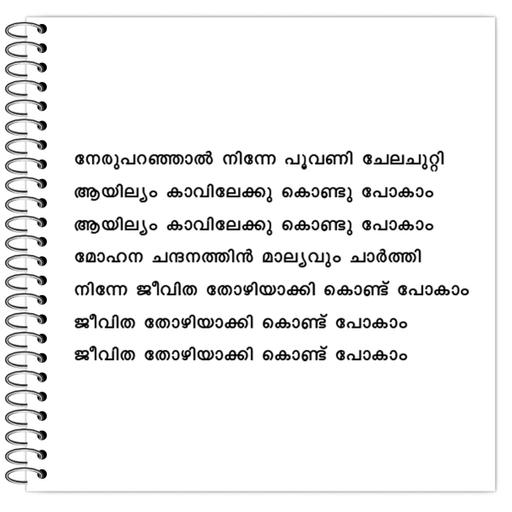 Picture of the product