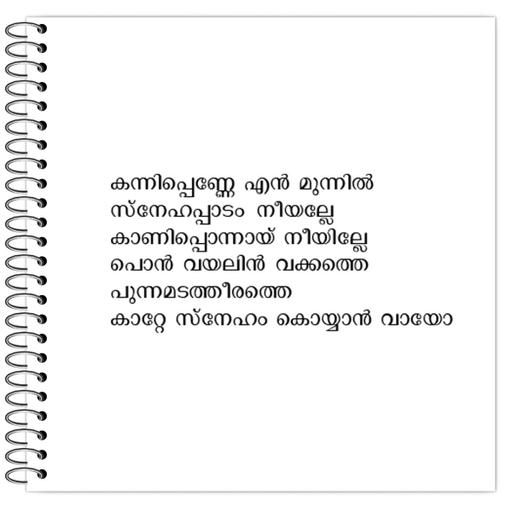 Picture of the product