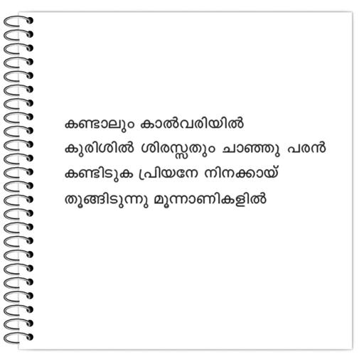 Picture of the product