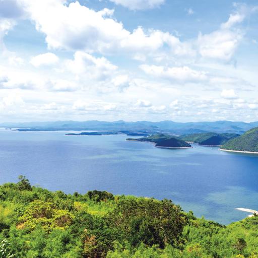 Picture of the product