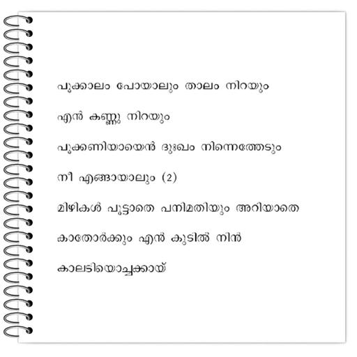 Picture of the product