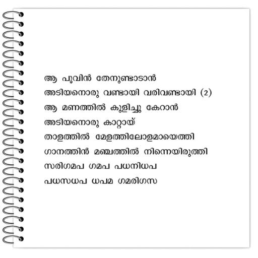 Picture of the product