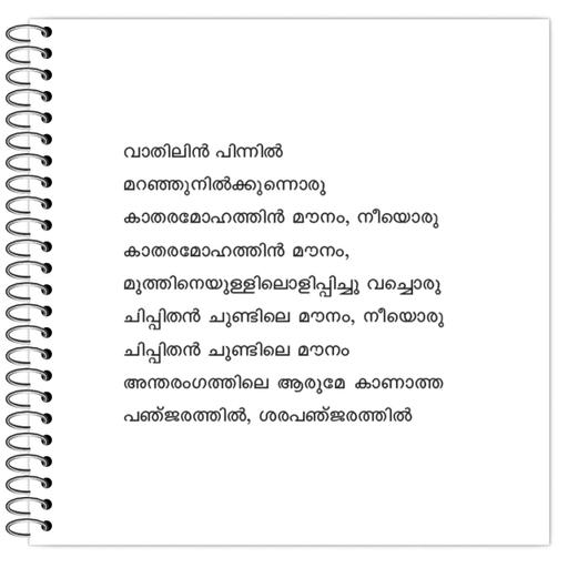 Picture of the product