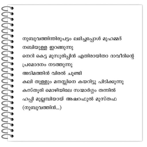 Picture of the product