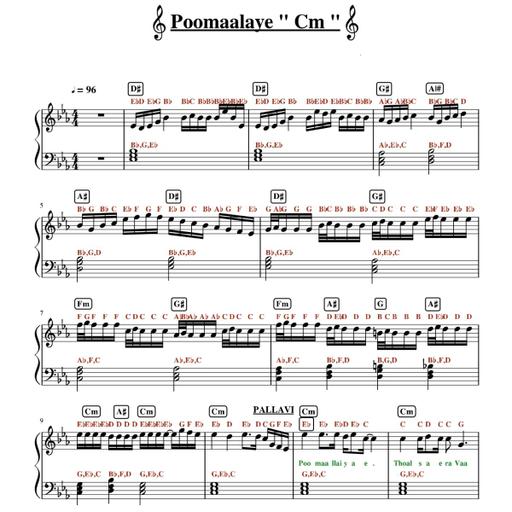 Picture of the product