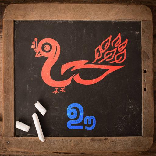 Picture of the product