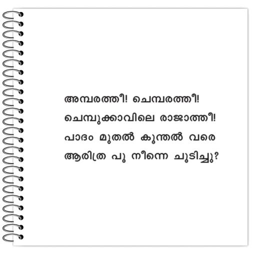 Picture of the product