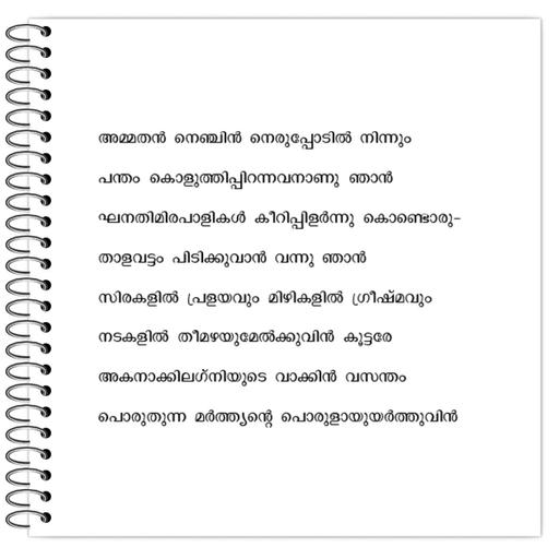 Picture of the product