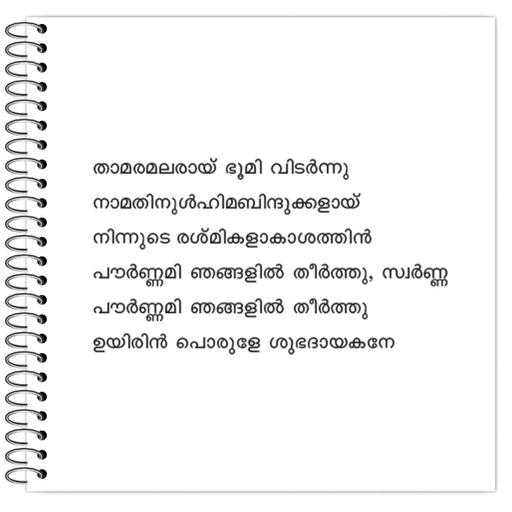 Picture of the product