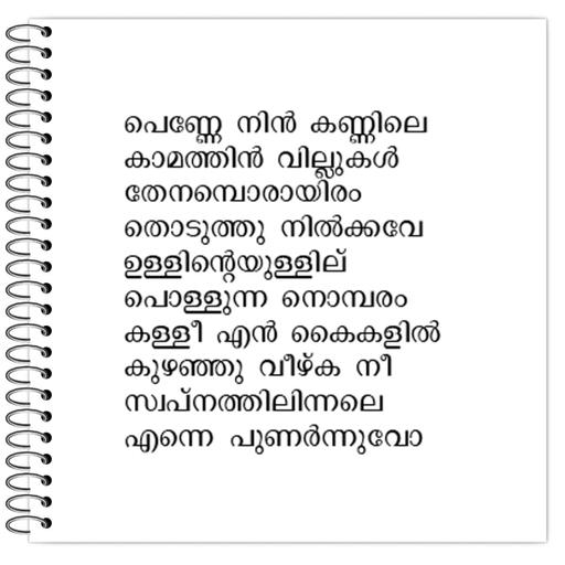 Picture of the product