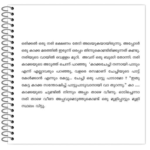 Picture of the product