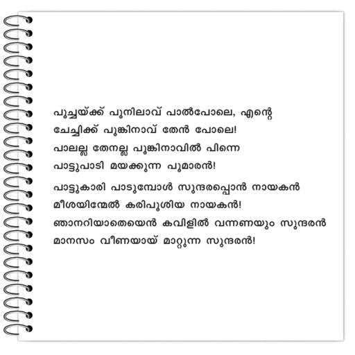 Picture of the product