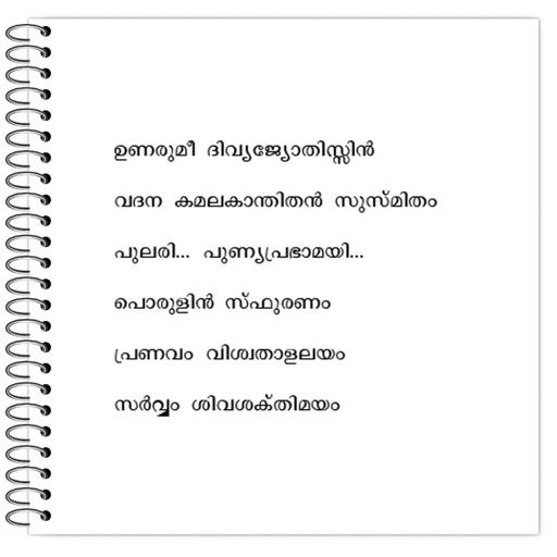 Picture of the product