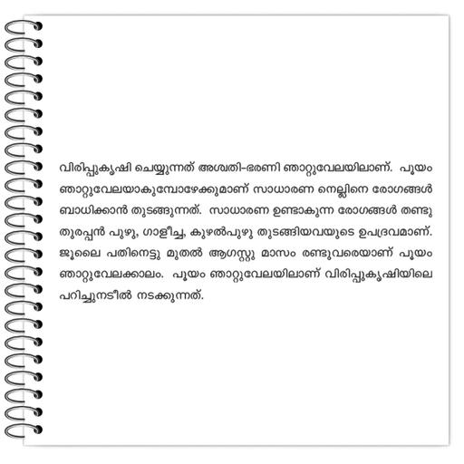 Picture of the product