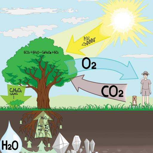 Picture of the product