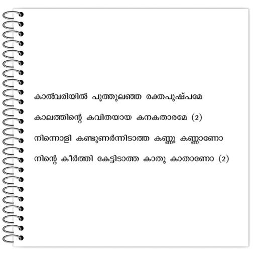 Picture of the product