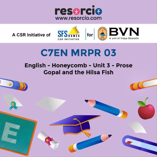 Picture of the product