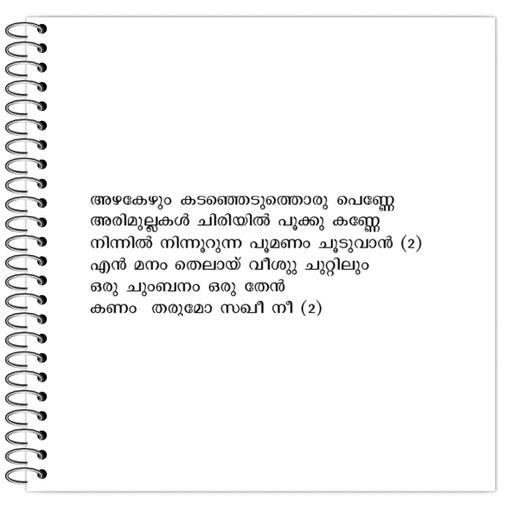 Picture of the product