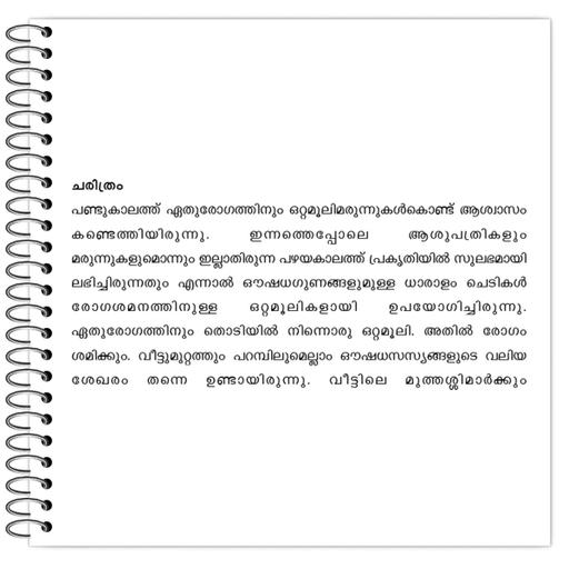 Picture of the product