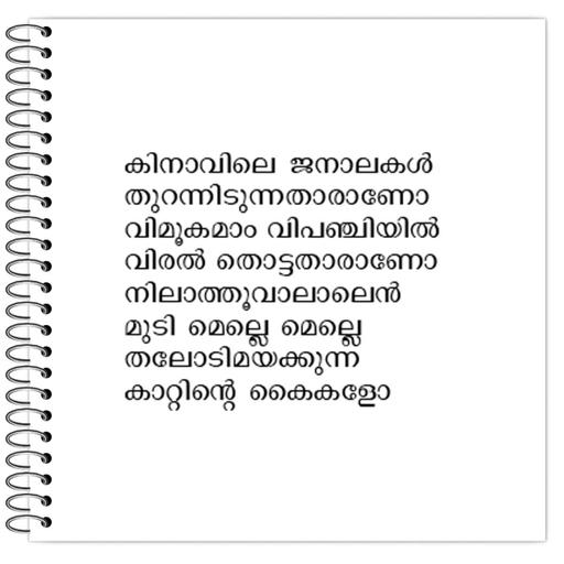 Picture of the product