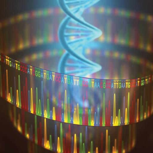 Picture of the product