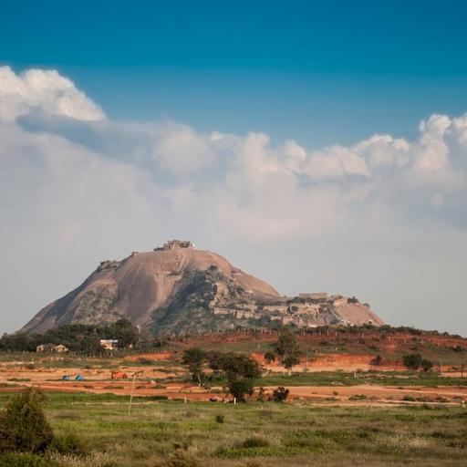 Picture of the product