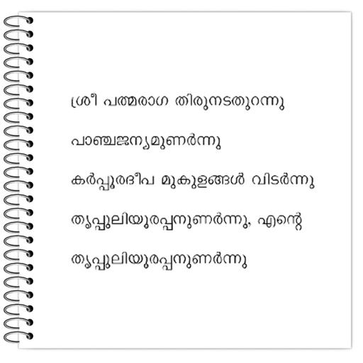 Picture of the product