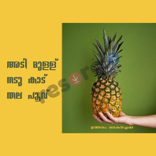 Picture of the product