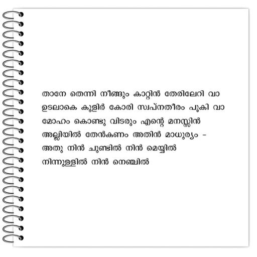 Picture of the product