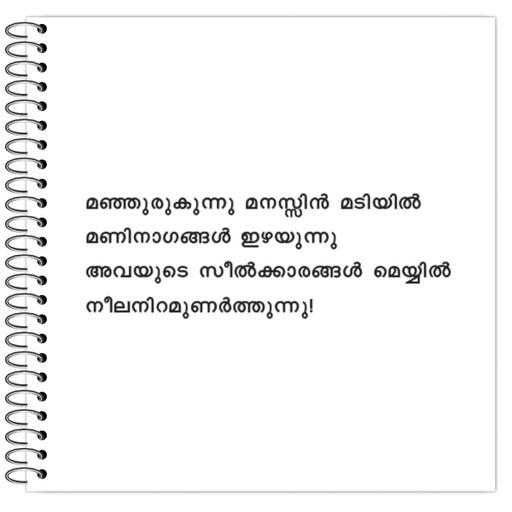 Picture of the product