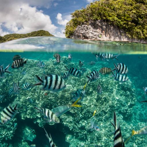 Picture of the product