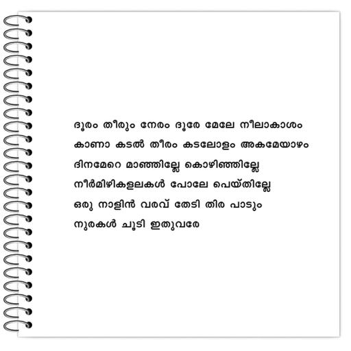 Picture of the product