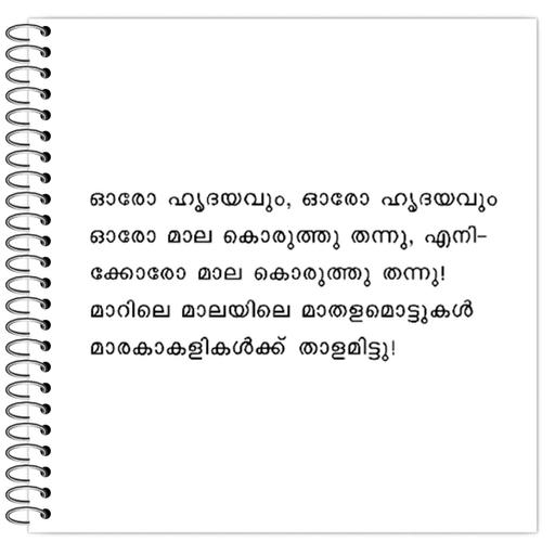 Picture of the product