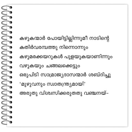 Picture of the product