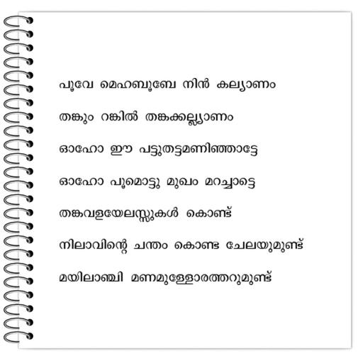 Picture of the product