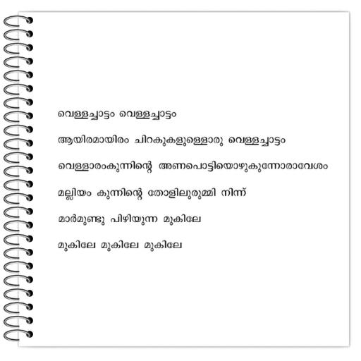 Picture of the product