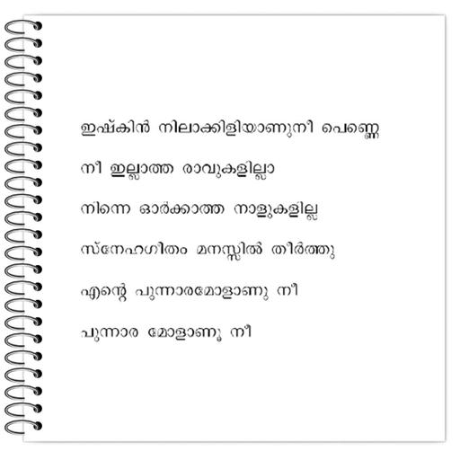 Picture of the product