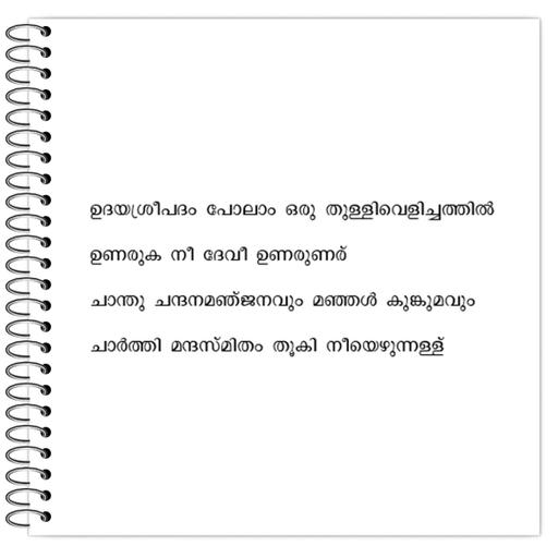 Picture of the product