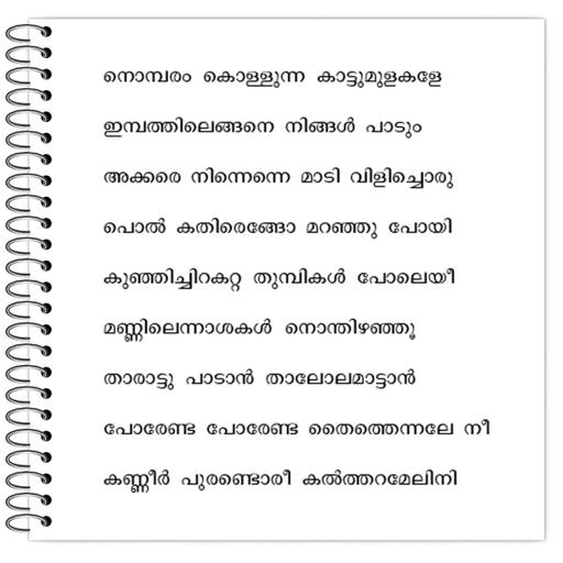 Picture of the product