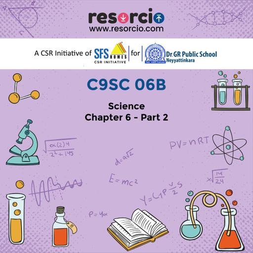 Picture of the product