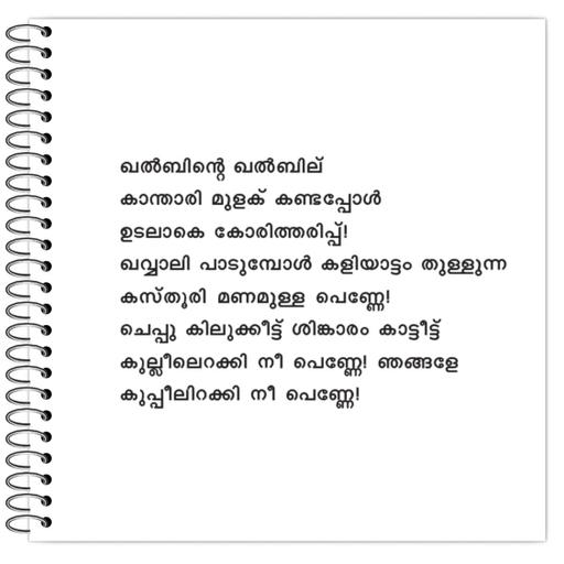 Picture of the product